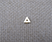 Provisional Chapter Member Pin